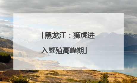 黑龙江：狮虎进入繁殖高峰期