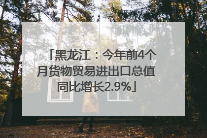 黑龙江：今年前4个月货物贸易进出口总值同比增长2.9%