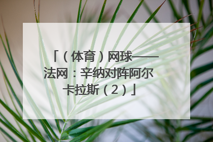 （体育）网球——法网：辛纳对阵阿尔卡拉斯（2）