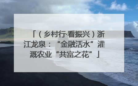 （乡村行·看振兴）浙江龙泉：“金融活水”灌溉农业“共富之花”