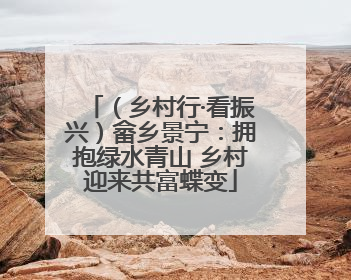 （乡村行·看振兴）畲乡景宁：拥抱绿水青山 乡村迎来共富蝶变