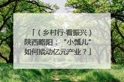 （乡村行·看振兴）陕西略阳：“小瓢儿”如何撬动亿元产业？
