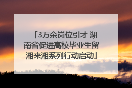 3万余岗位引才 湖南省促进高校毕业生留湘来湘系列行动启动