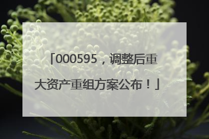 000595，调整后重大资产重组方案公布！