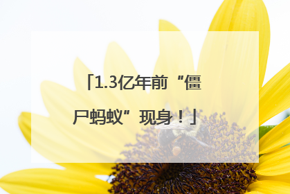 1.3亿年前“僵尸蚂蚁”现身！