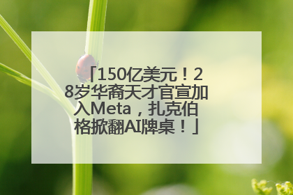 150亿美元！28岁华裔天才官宣加入Meta，扎克伯格掀翻AI牌桌！