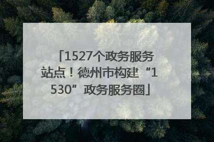 1527个政务服务站点！德州市构建“1530”政务服务圈
