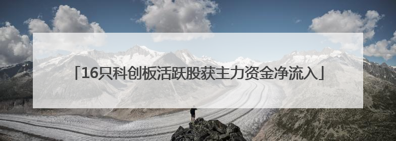 16只科创板活跃股获主力资金净流入