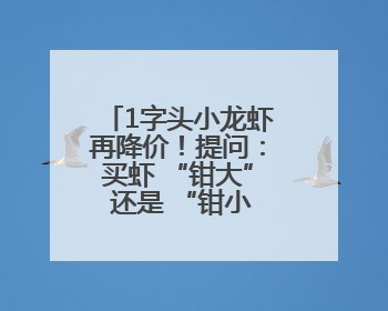 1字头小龙虾再降价！提问：买虾 “钳大” 还是 “钳小” 更划算？
