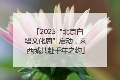 2025“北京白塔文化周”启动，来西城共赴千年之约