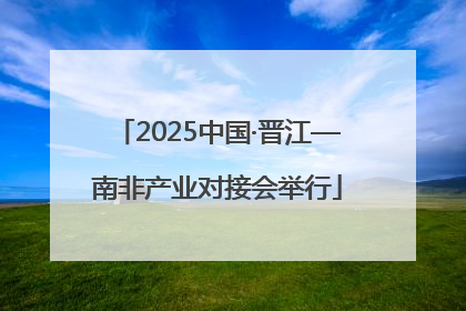 2025中国·晋江—南非产业对接会举行