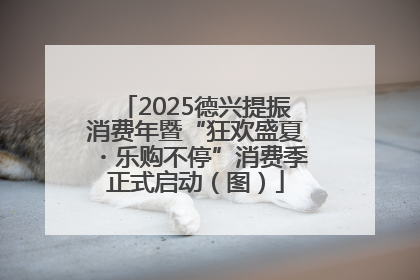 2025德兴提振消费年暨“狂欢盛夏・乐购不停”消费季正式启动（图）