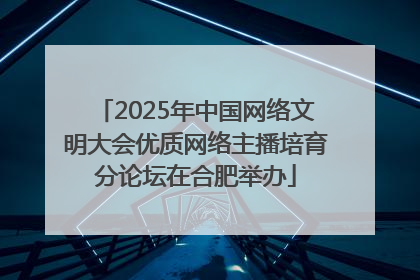 2025年中国网络文明大会优质网络主播培育分论坛在合肥举办