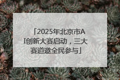 2025年北京市AI创新大赛启动，三大赛道邀全民参与