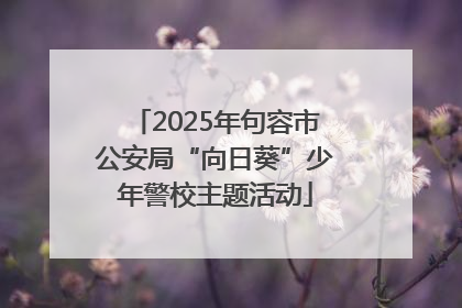 2025年句容市公安局“向日葵”少年警校主题活动