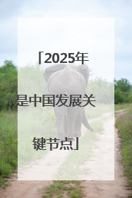 2025年是中国发展关键节点