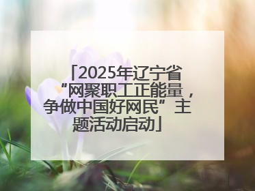 2025年辽宁省“网聚职工正能量，争做中国好网民”主题活动启动