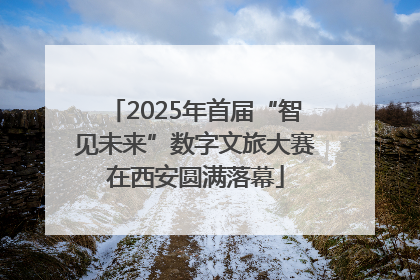 2025年首届“智见未来”数字文旅大赛在西安圆满落幕