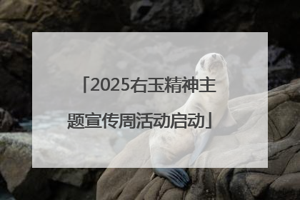 2025右玉精神主题宣传周活动启动