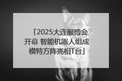 2025大连服博会开幕 智能机器人组成模特方阵亮相T台