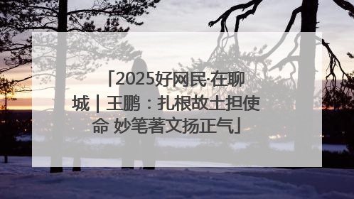 2025好网民·在聊城｜王鹏：扎根故土担使命 妙笔著文扬正气