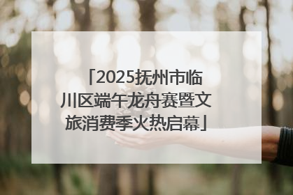 2025抚州市临川区端午龙舟赛暨文旅消费季火热启幕