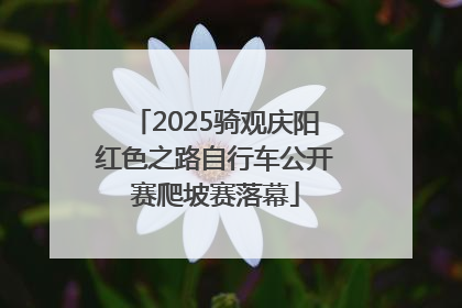 2025骑观庆阳红色之路自行车公开赛爬坡赛落幕