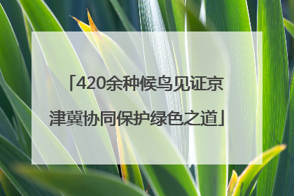 420余种候鸟见证京津冀协同保护绿色之道