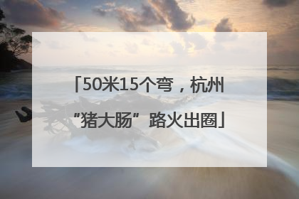 50米15个弯，杭州“猪大肠”路火出圈