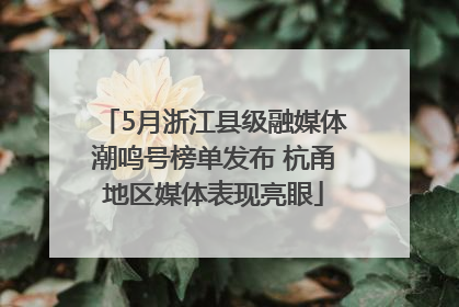 5月浙江县级融媒体潮鸣号榜单发布 杭甬地区媒体表现亮眼