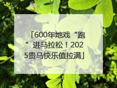 600年地戏“跑”进马拉松！2025贵马快乐值拉满