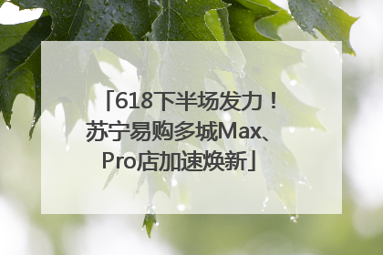618下半场发力！苏宁易购多城Max、Pro店加速焕新
