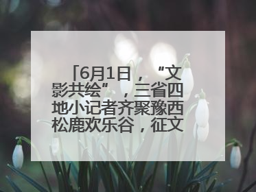 6月1日，“文影共绘”，三省四地小记者齐聚豫西松鹿欢乐谷，征文暨短视频大赛精彩启幕！