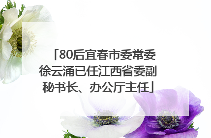 80后宜春市委常委徐云涌已任江西省委副秘书长、办公厅主任