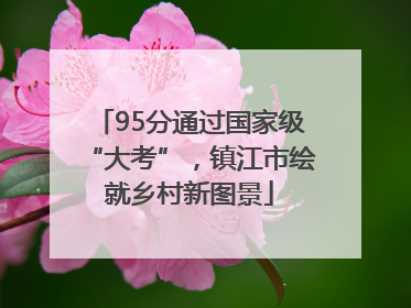 95分通过国家级“大考”，镇江市绘就乡村新图景