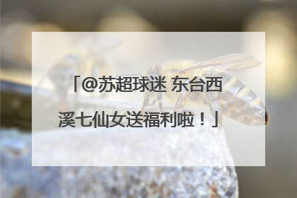 @苏超球迷 东台西溪七仙女送福利啦！