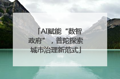 AI赋能“数智政府”，普陀探索城市治理新范式