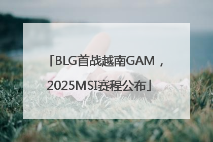 BLG首战越南GAM，2025MSI赛程公布
