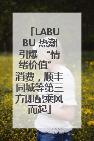 LABUBU 热潮引爆 “情绪价值” 消费，顺丰同城等第三方即配乘风而起