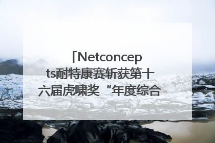 Netconcepts耐特康赛斩获第十六届虎啸奖“年度综合服务商”大奖