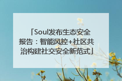 Soul发布生态安全报告：智能风控+社区共治构建社交安全新范式